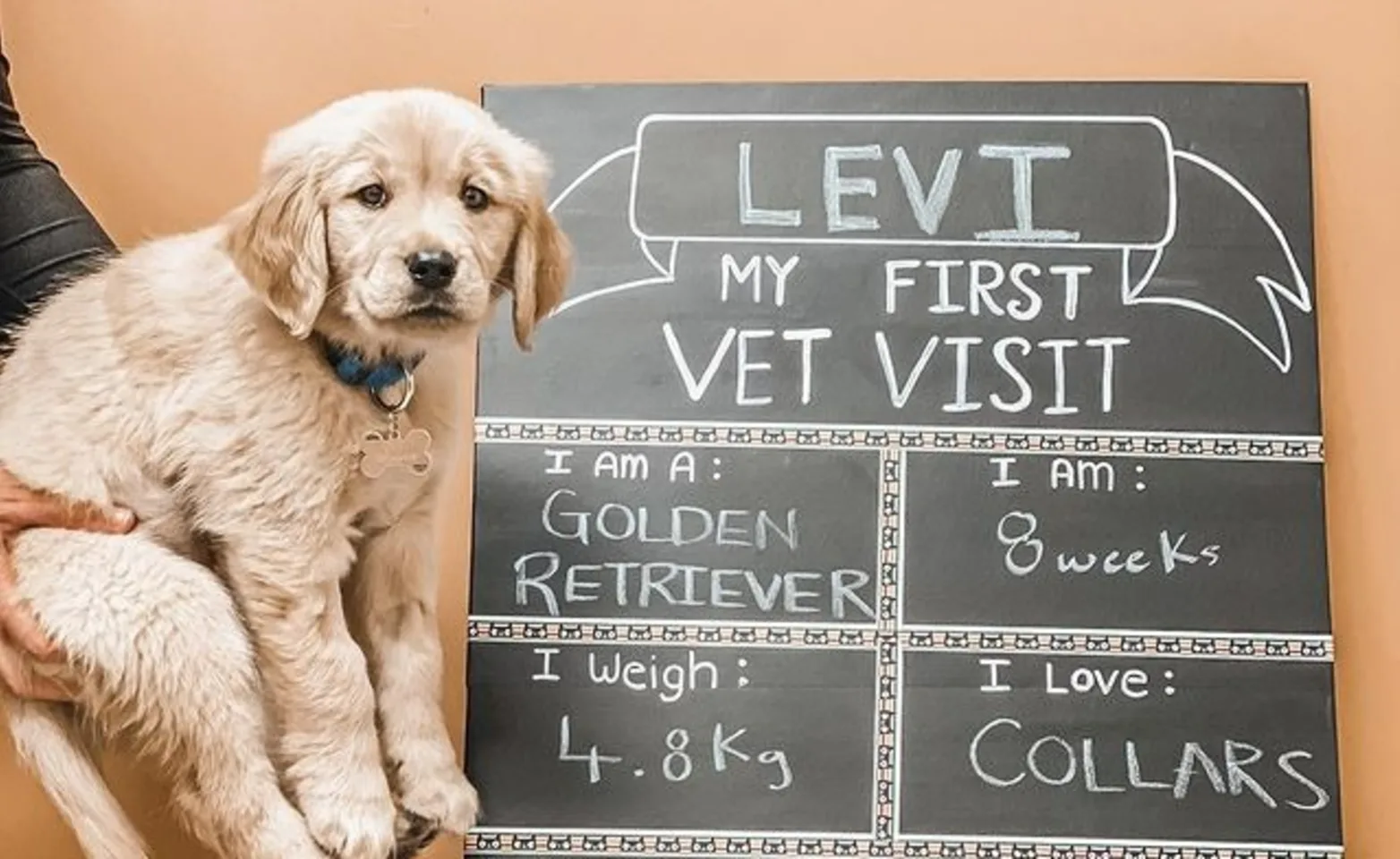 Dog being held up next to a chalkboard sign 